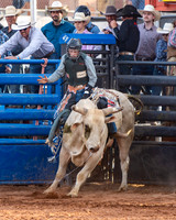 Bull Riding One