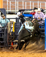 Bull Riding Two