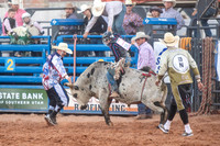 Mini Bulls