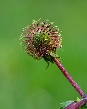 DSC_4822-Edit