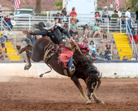 Bareback and Saddlebronc