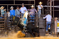 Bull Riding 2