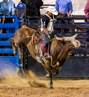 Bull Riding 2