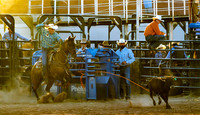 Calf Roping