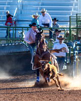 Calf Roping
