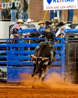 Bull Riding Two