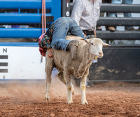 Mutton Bustin'