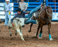 Steer Wrestling