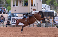 Bareback and Saddle Bronc