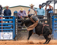 Bull Riding One
