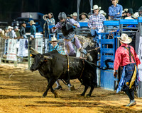 Bull Riding Two