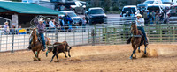 Team Roping