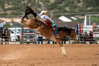 Bareback and Saddle Bronc