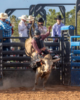 Bull Riding One