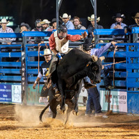 Bull Riding Two