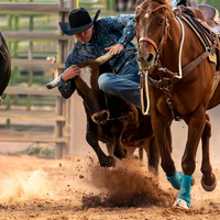Steer Wrestling