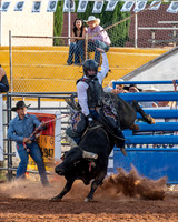 Bull Riding One