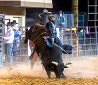 Bull Riding 2