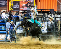 Bull Riding Two
