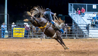 Saddle Bronc