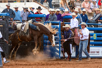 Bareback