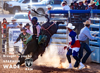 Bull Riding 1