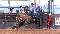 Bull Riding 1