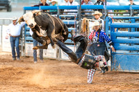 Bull Riding Two