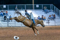 Bareback
