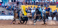 Team Roping