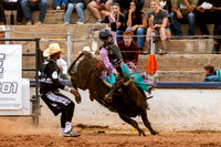 Mini Bulls