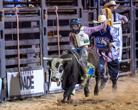 Mini Bull Riding