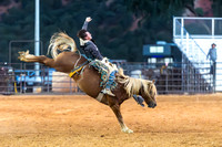 Bareback