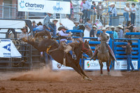 Saddle Bronc