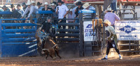 Bull Riding One