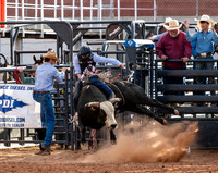 Bull Riding 1